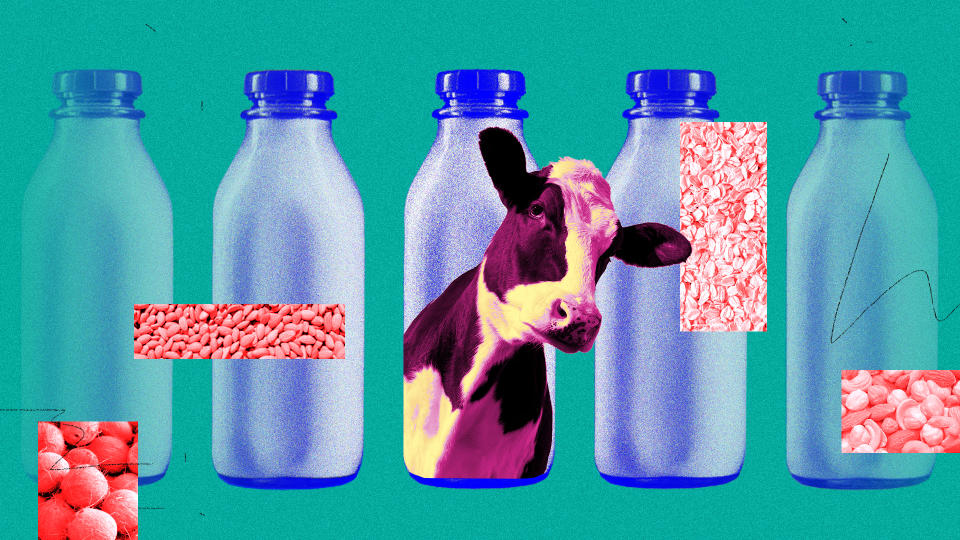 Plant based milk vs. cow's milk
