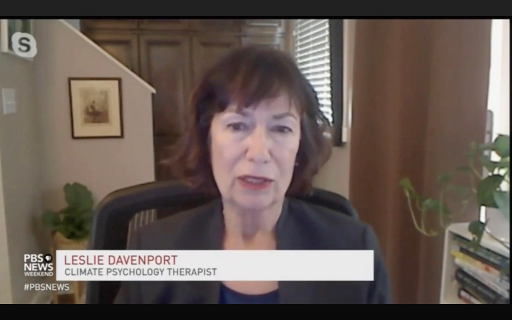 Leslie Davenport on PBS